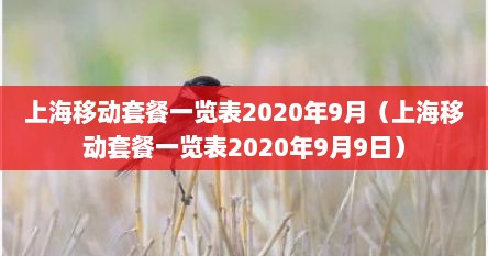 上海移动套餐一览表2020年（上海移动套餐一览表）