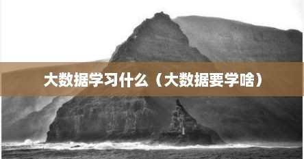 大数据学习什么（大数据要学啥）