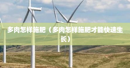 多肉怎样施肥（多肉怎样施肥才能快速生长）