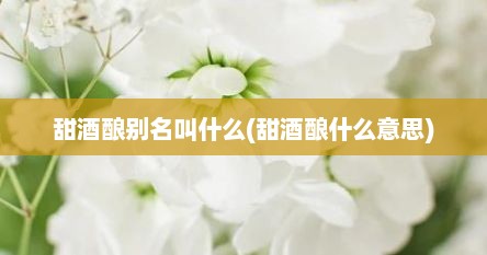 甜酒酿别名叫什么(甜酒酿什么意思)