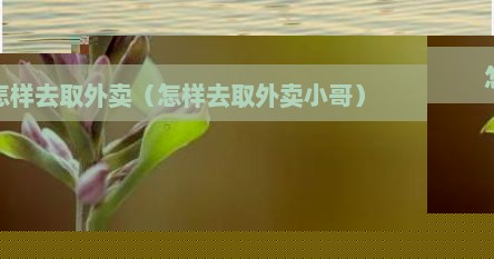 怎样去取外卖（怎样去取外卖小哥）