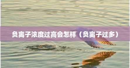 负离子浓度过高会怎样（负离子过多）