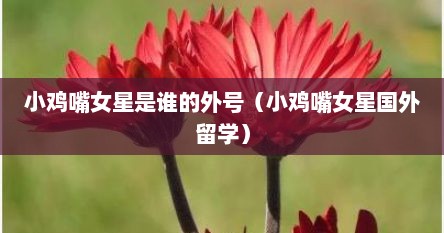 小鸡嘴女星是谁的外号（小鸡嘴女星国外留学）