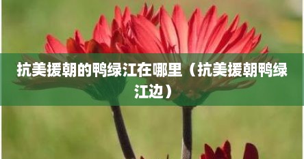 抗美援朝的鸭绿江在哪里（抗美援朝鸭绿江边）