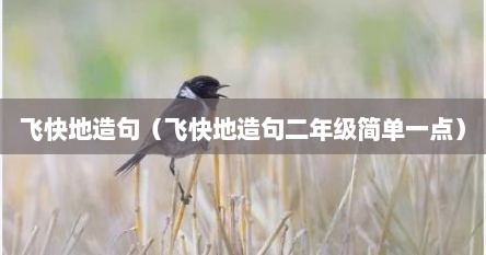 飞快地造句（飞快地造句二年级简单一点）