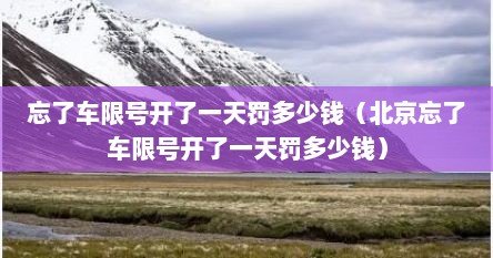 忘了车限号开了一天罚多少钱（北京忘了车限号开了一天罚多少钱）