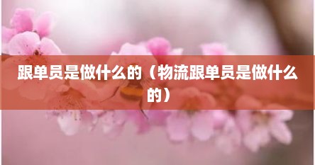 跟单员是做什么的（物流跟单员是做什么的）