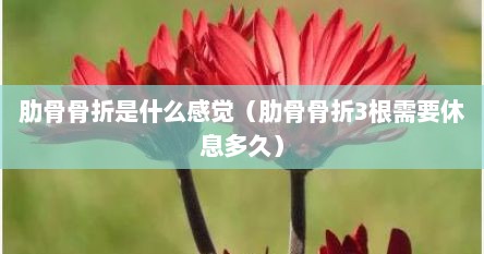 肋骨骨折是什么感觉（肋骨骨折3根需要休息多久）