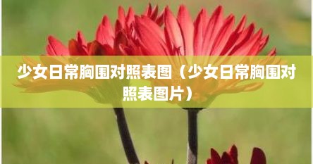 少女日常胸围对照表图（少女日常胸围对照表图片）