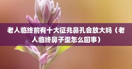 老人临终前有十大征兆鼻孔会放大吗（老人临终鼻子歪怎么回事）