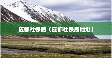 成都社保局（成都社保局地址）