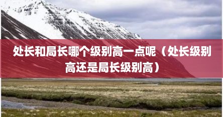 处长和局长哪个级别高一点呢（处长级别高还是局长级别高）