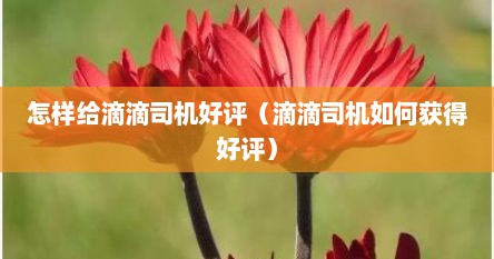 怎样给滴滴司机好评（滴滴司机如何获得好评）