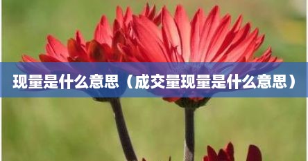 现量是什么意思（成交量现量是什么意思）