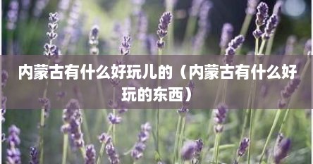 内蒙古有什么好玩儿的（内蒙古有什么好玩的东西）