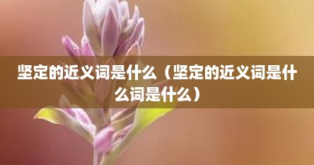坚定的近义词是什么（坚定的近义词是什么词是什么）