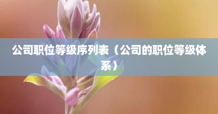公司职位等级序列表（公司的职位等级体系）