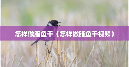 怎样做腊鱼干（怎样做腊鱼干视频）