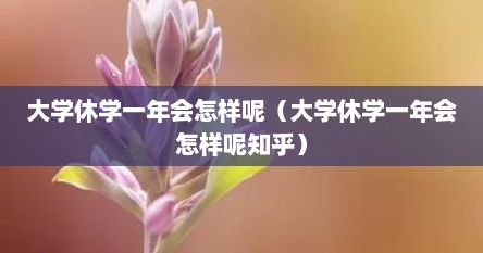 大学休学一年会怎样呢（大学休学一年会怎样呢知乎）