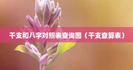 干支和八字对照表查询图（干支查算表）