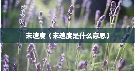 末速度（末速度是什么意思）