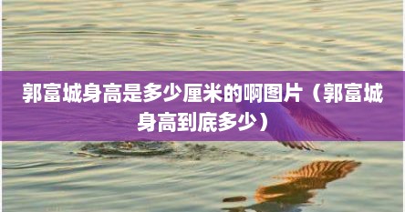 郭富城个人身高多少（郭富城身高对比照）