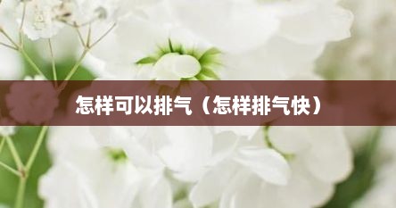 怎样可以排气（怎样排气快）
