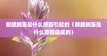 眼膜脱落是什么原因引起的（眼膜脱落是什么原因造成的）