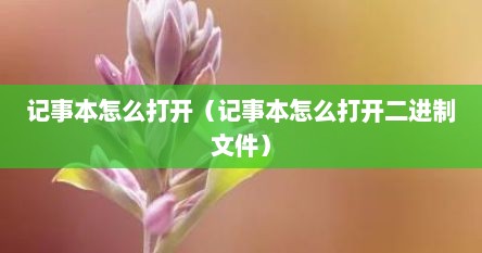 记事本怎么打开（记事本怎么打开二进制文件）