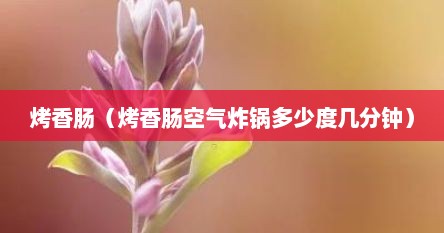 烤香肠（烤香肠空气炸锅多少度几分钟）