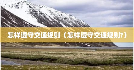 怎样遵守交通规则（怎样遵守交通规则?）