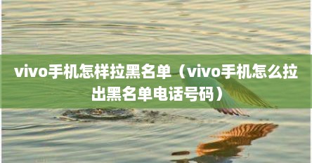 vivo手机怎样拉黑名单（vivo手机怎么拉出黑名单电话号码）