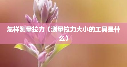 怎样测量拉力（测量拉力大小的工具是什么）