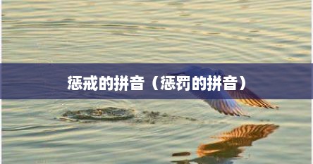 惩戒的拼音（惩罚的拼音）