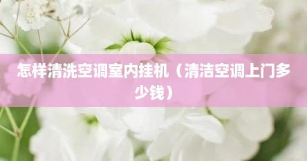 怎样清洗空调室内挂机（清洁空调上门多少钱）