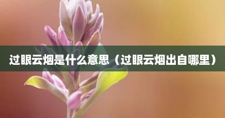 过眼云烟是什么意思（过眼云烟出自哪里）