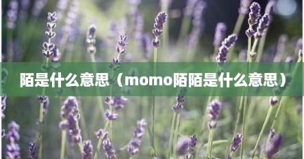 陌是什么意思（momo陌陌是什么意思）