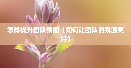 怎样提升团队氛围（如何让团队的氛围更好）