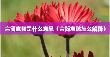 言简意赅是什么意思（言简意赅怎么解释）