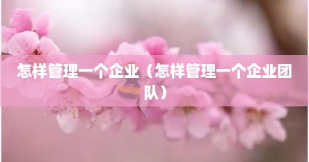 怎样管理一个企业（怎样管理一个企业团队）
