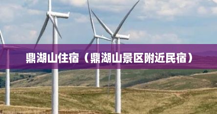 鼎湖山景区酒店（鼎湖山景区里面的民宿）