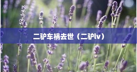 二驴车祸去世（二驴lv）