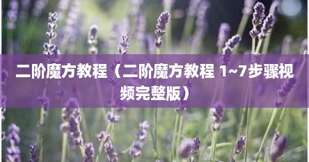 二阶魔方教程（二阶魔方教程 1~7步骤视频完整版）