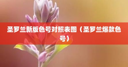 圣罗兰2020秋冬最新色号（圣罗兰所有色号图）