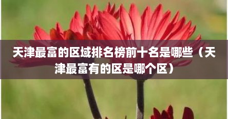 天津最富的区域排名榜前十名是哪些（天津最富有的区是哪个区）
