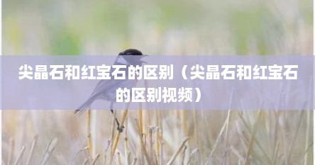 尖晶石和红宝石的区别（尖晶石和红宝石的区别视频）