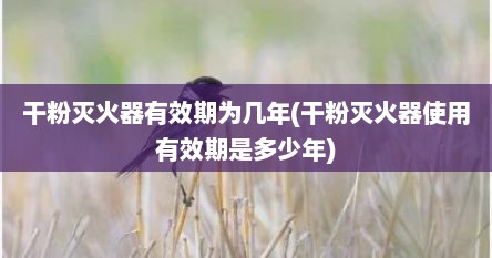 干粉灭火器有效期为几年(干粉灭火器使用有效期是多少年)
