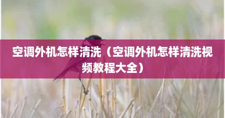 空调外机怎样清洗（空调外机怎样清洗视频教程大全）