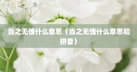 当之无愧什么意思（当之无愧什么意思和拼音）