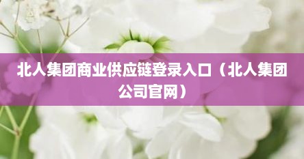 北人集团商业供应链登录入口（北人集团公司官网）